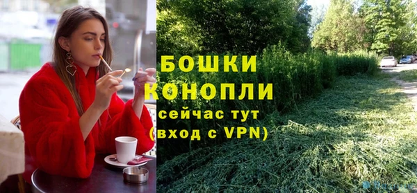 хмурый Гусев