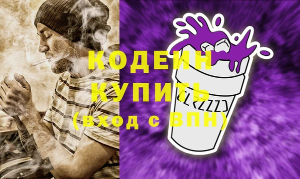 хмурый Гусев
