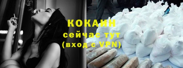 хмурый Гусев