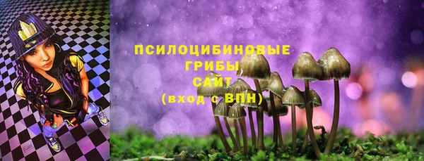 хмурый Гусев