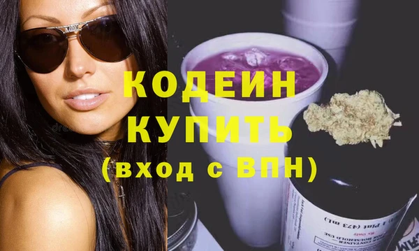 хмурый Гусев