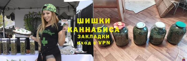 хмурый Гусев