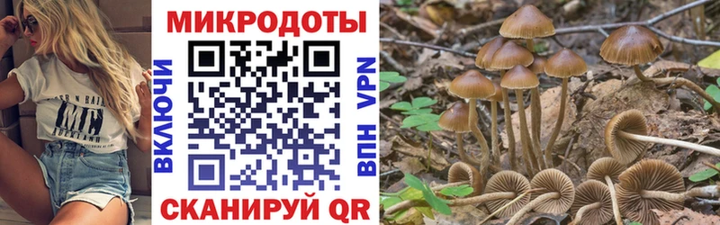 Галлюциногенные грибы Magic Shrooms  Подольск 